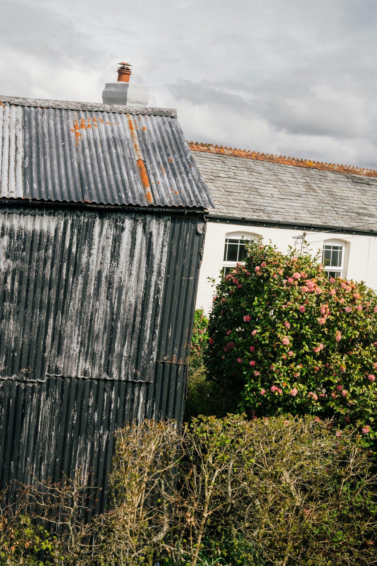 An agricultural building, a cottage and a hedgerow in Cornwall.