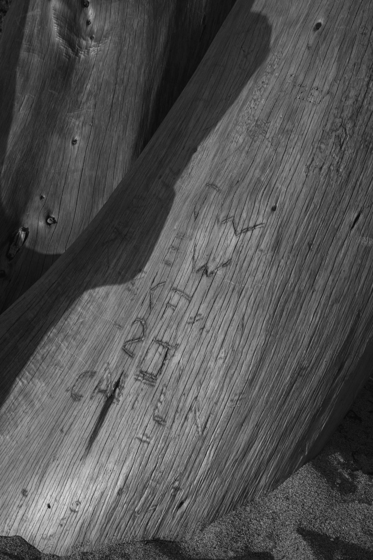 A fallen tree on Praa Sands beach in West Cornwall. Messages have been carved into the trunk.