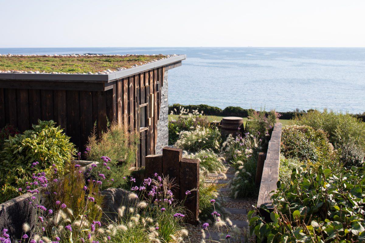 A summer house with a living roof. Lots of flowers growing in the garden at a property in Cornwall.