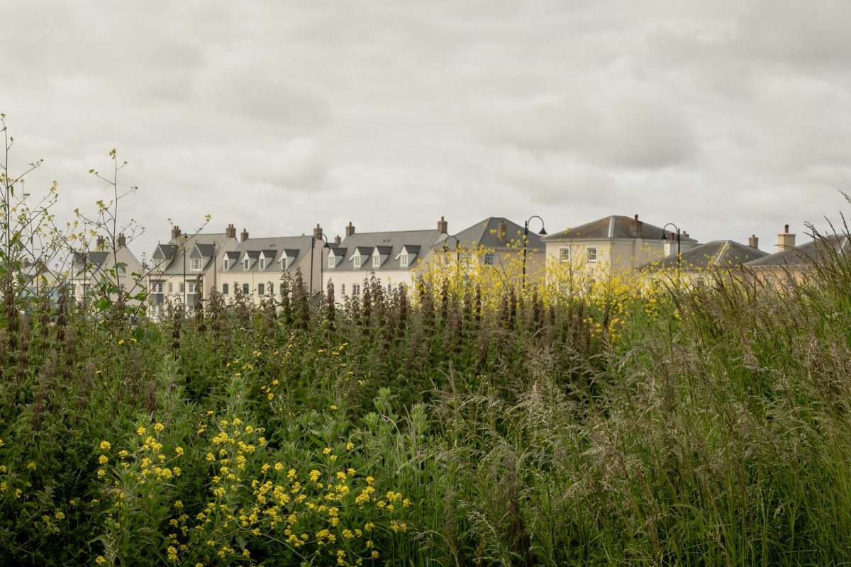 Green space. Nansledan, Newquay, Cornwall