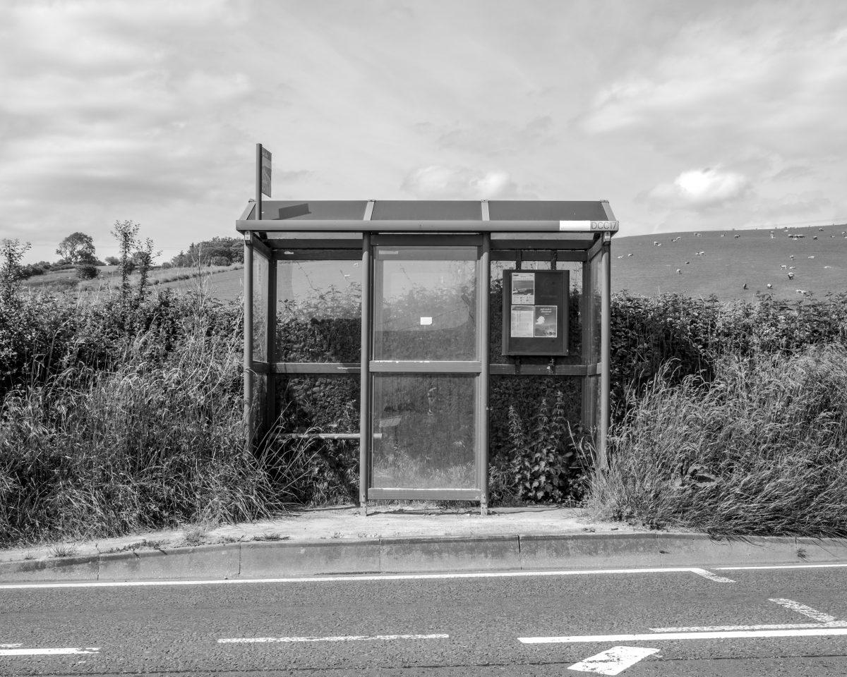 A bus stop located on a busy road in Dorset surrounded by nettles.