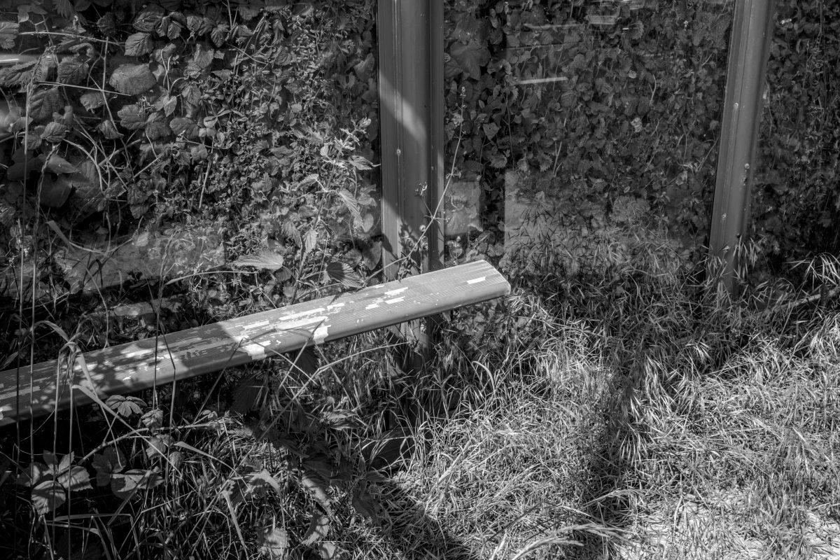 Nettles and various other plants are seen growing up against and through a bus stop in Dorset.